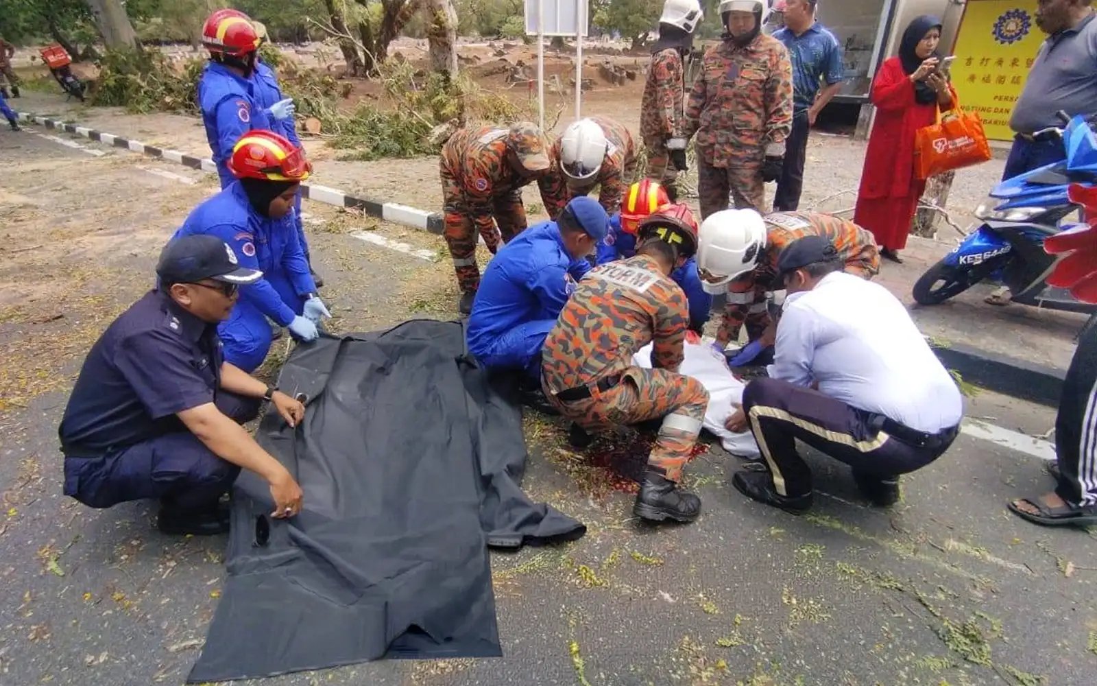 Penunggang motosikal maut dihempap pokok tumbang
