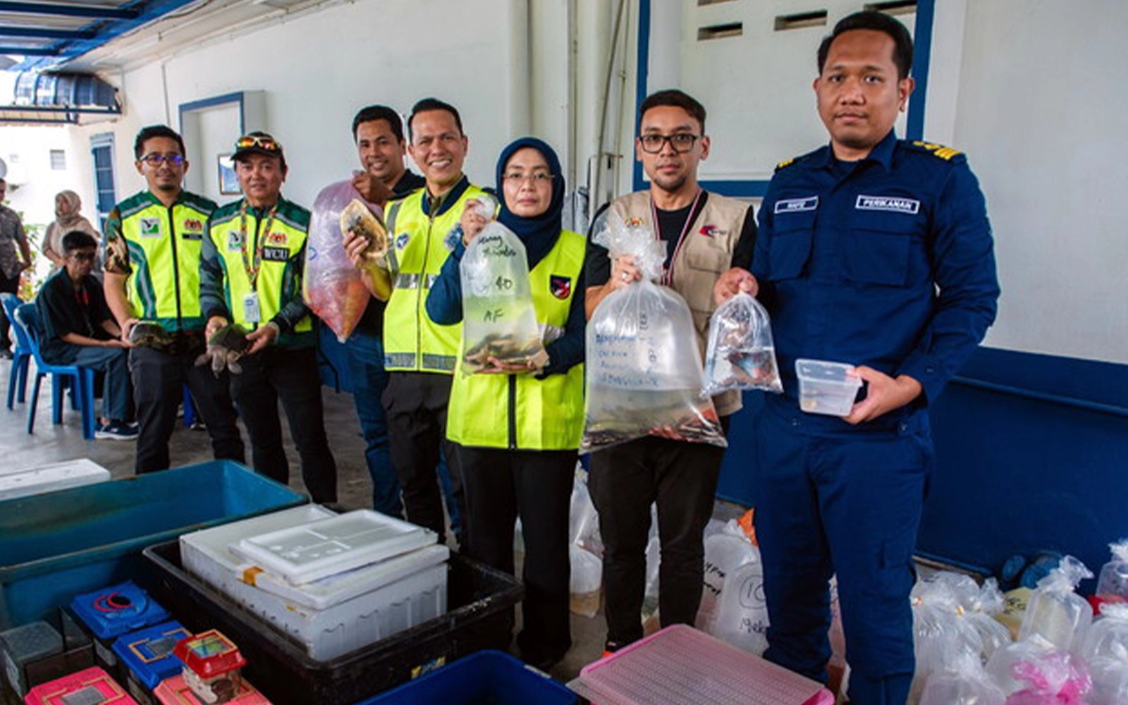 Jabatan Perikanan serbu 6 premis ikan hiasan, sita spesies invasif
