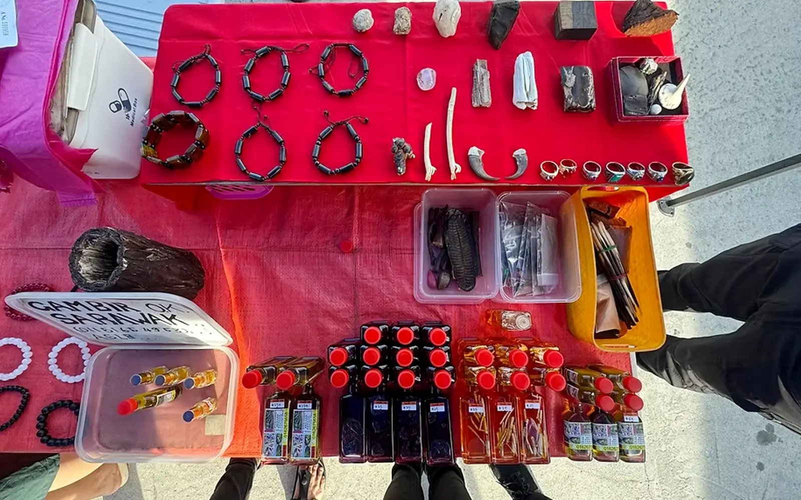 Man selling pangolin, sun bear, porcupine parts nabbed