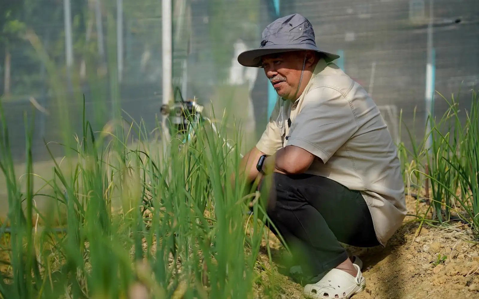 Mat Sabu defends call to grow own crops