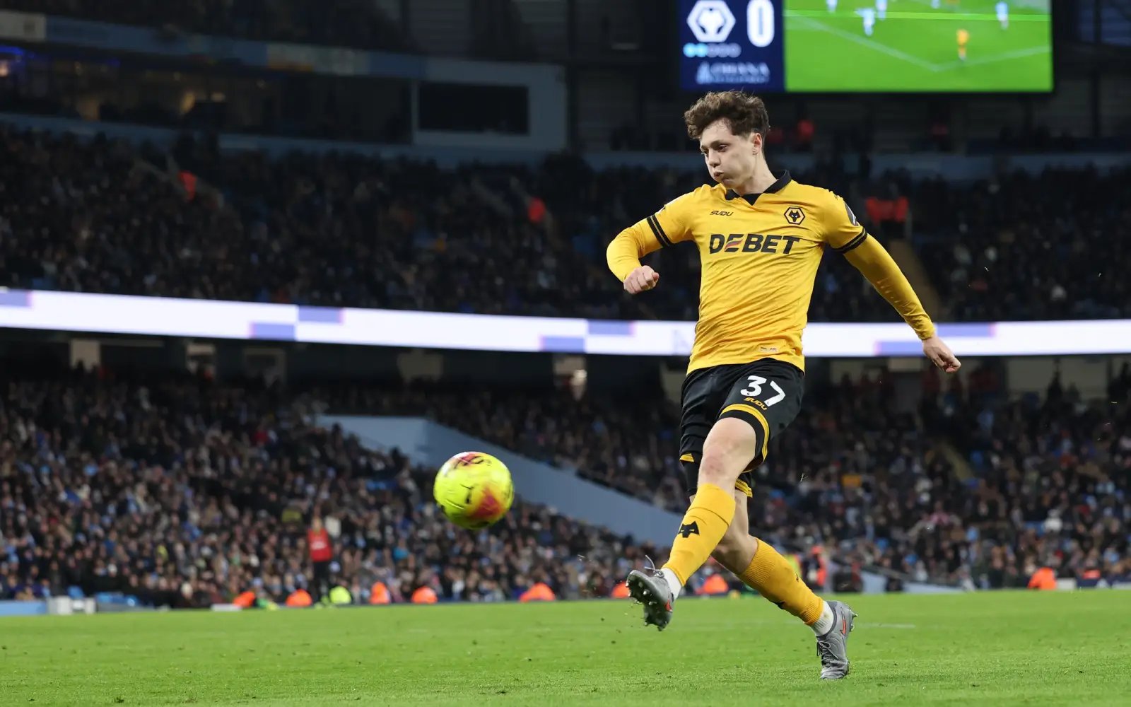 Wolves not going quietly as hope of great escape still flickers