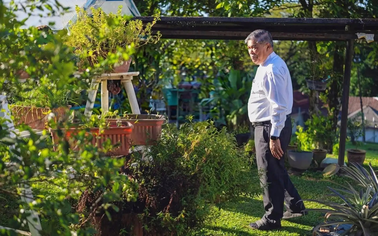 Konflik Asia Barat jejas rantaian makanan, Mat Sabu seru rakyat bercucuk tanam