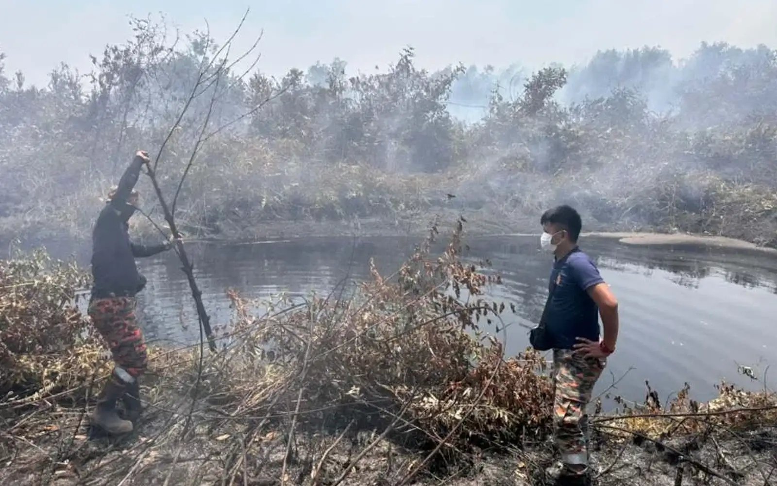 Fight to put out Pengerang forest blaze enters 4th day