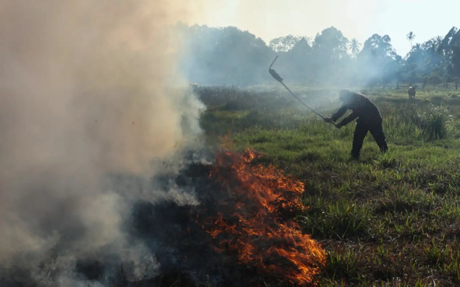 Stop open burning, Sarawakians told