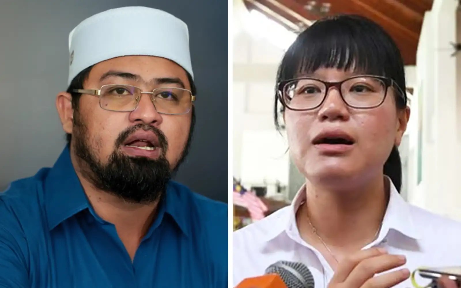 Selangor PAS Youth wants rep suspended over pig farming proposal