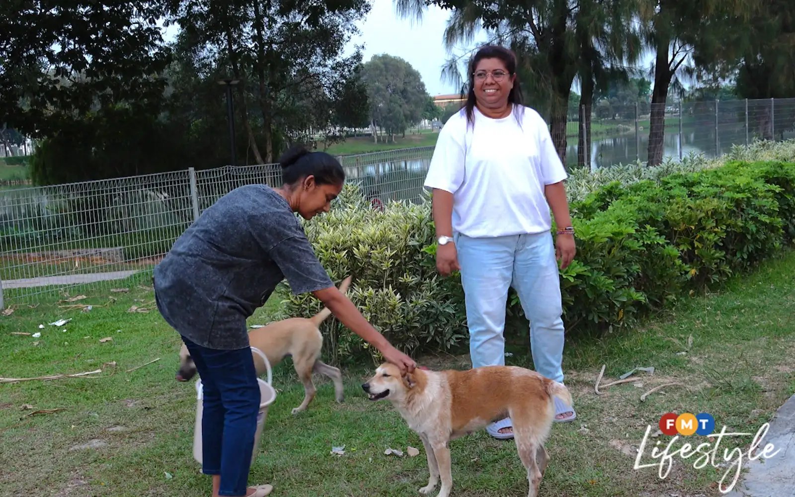 Night after night, these friends care for strays on the streets