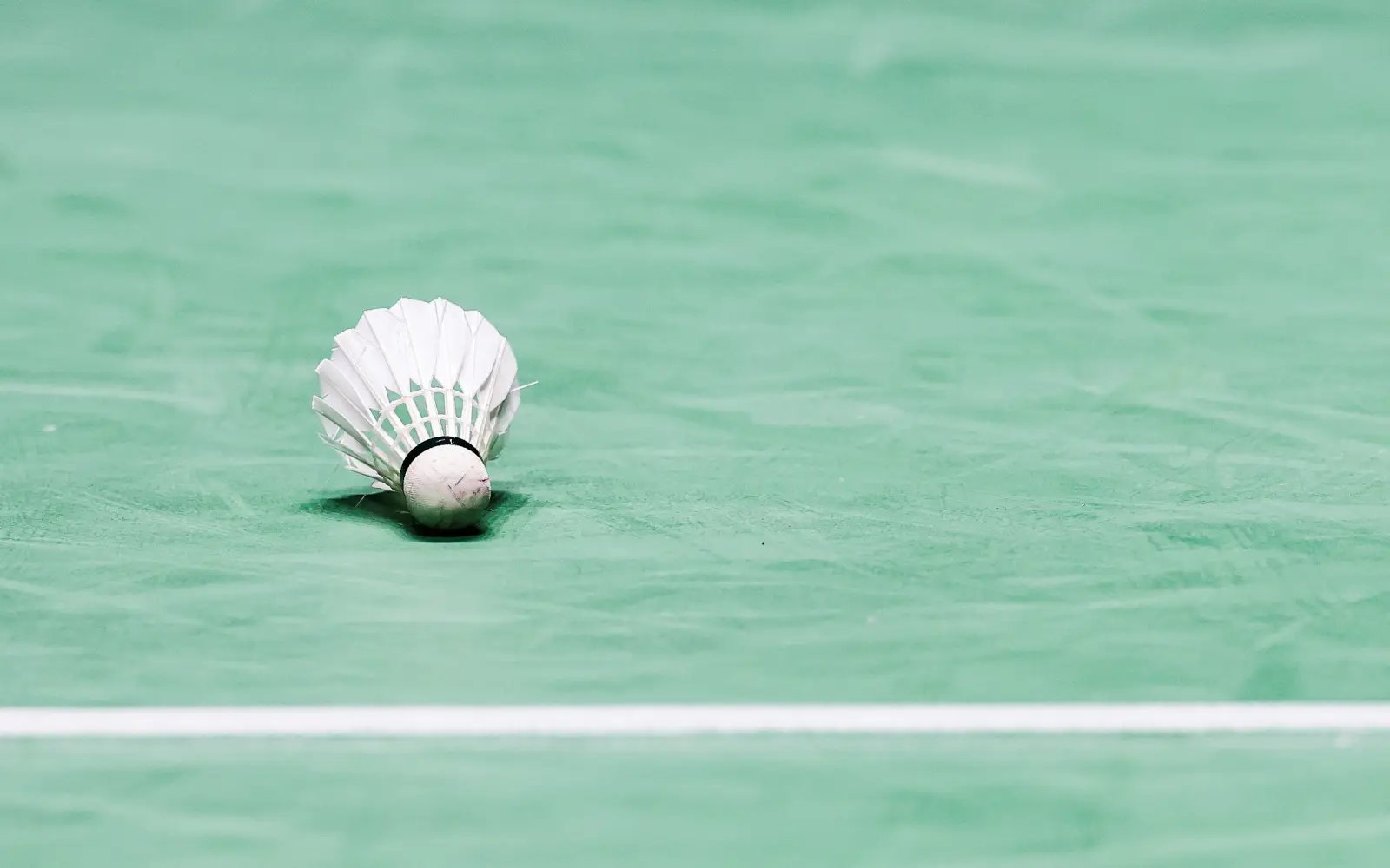 Badminton to trial synthetic shuttlecocks because of feather shortage