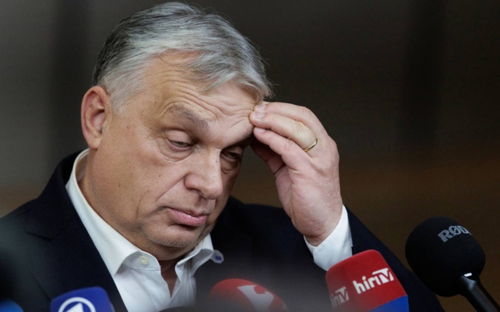 US Democrats cheer defeat of Trump ally Orban in Hungary