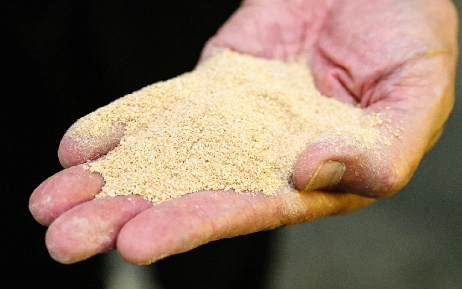 Thai farmers pin hopes on microbes to end annual burning crisis