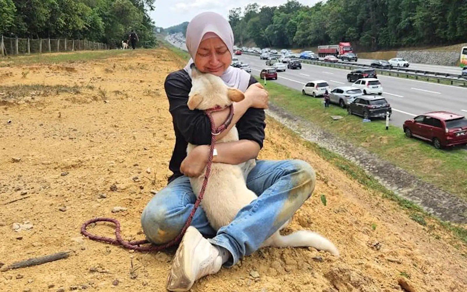 After highway crash, Melaka animal shelter appeals for help to carry on
