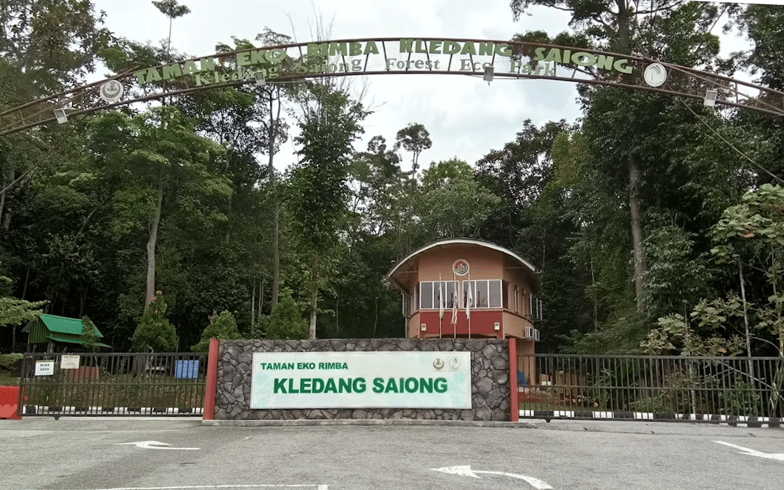 Gabungan NGO gesa Perak batal projek ladang hutan