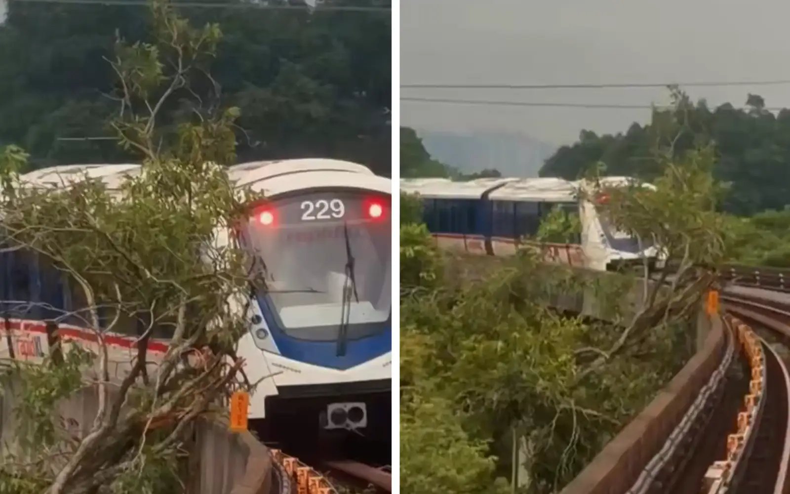 Kelana Jaya LRT services delayed after tree branch falls on tracks