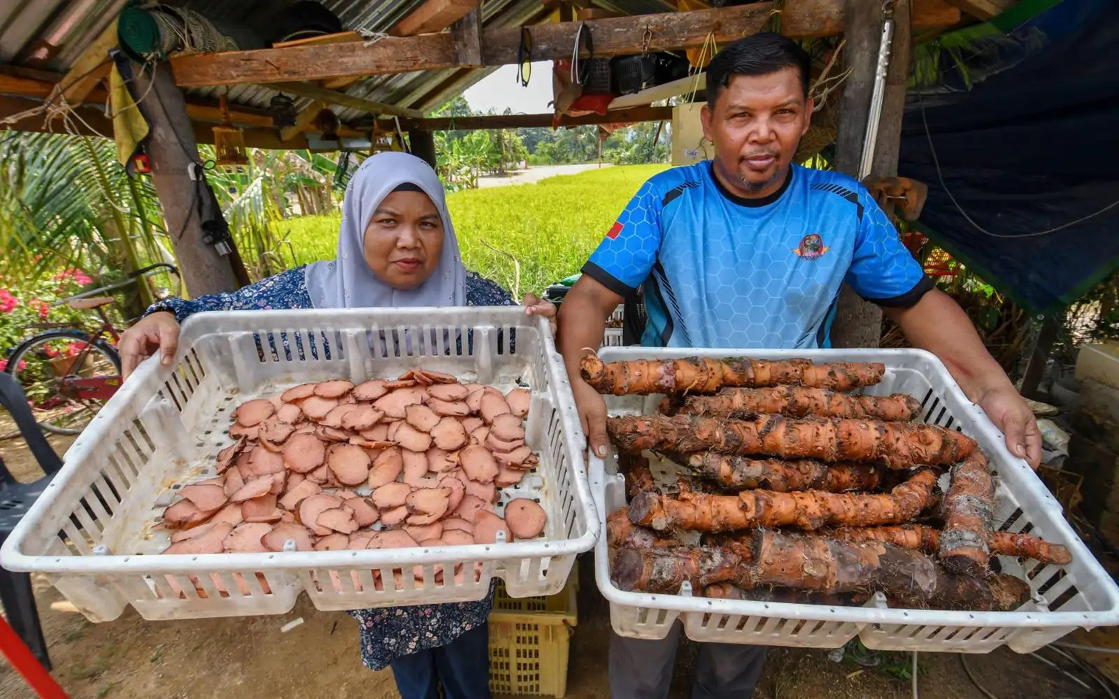 As the heat rises, so does demand for this traditional herbal drink