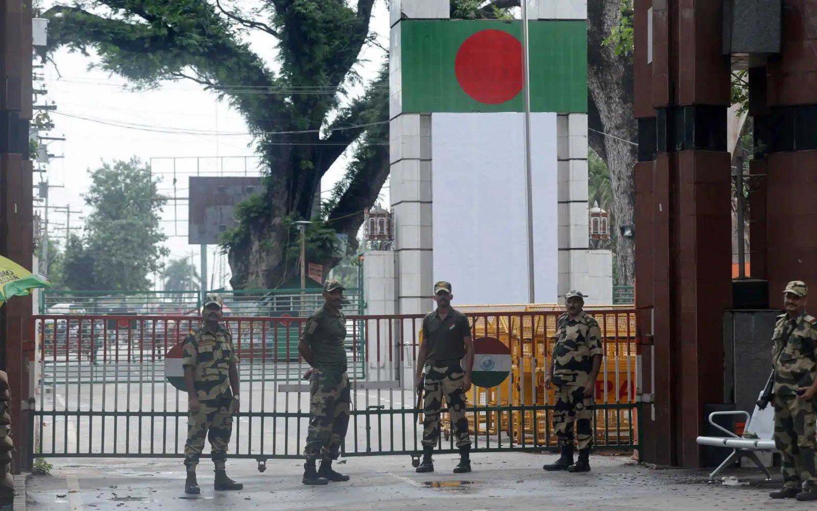 India mulls reptile river guards on Bangladesh border