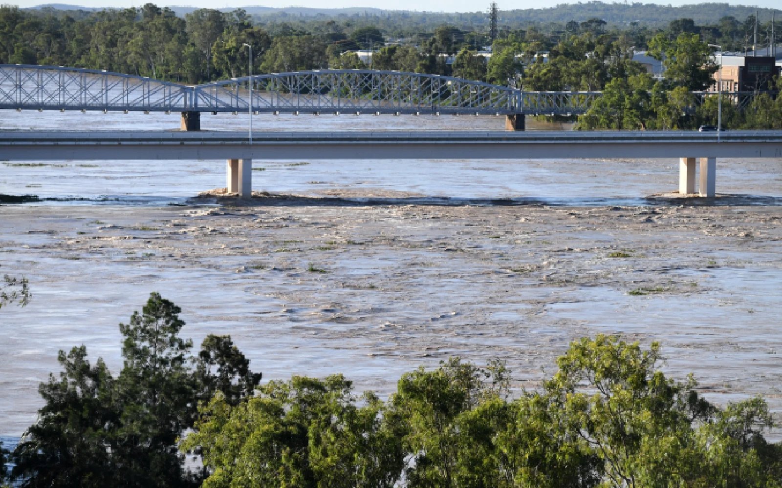 Olympic 2032 organisers not weighing alternatives to crocodile habitat for rowing