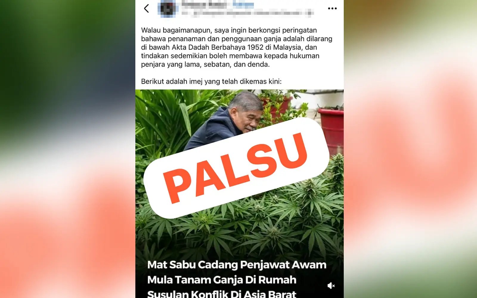 Minister’s office files MCMC report over fake post on growing cannabis