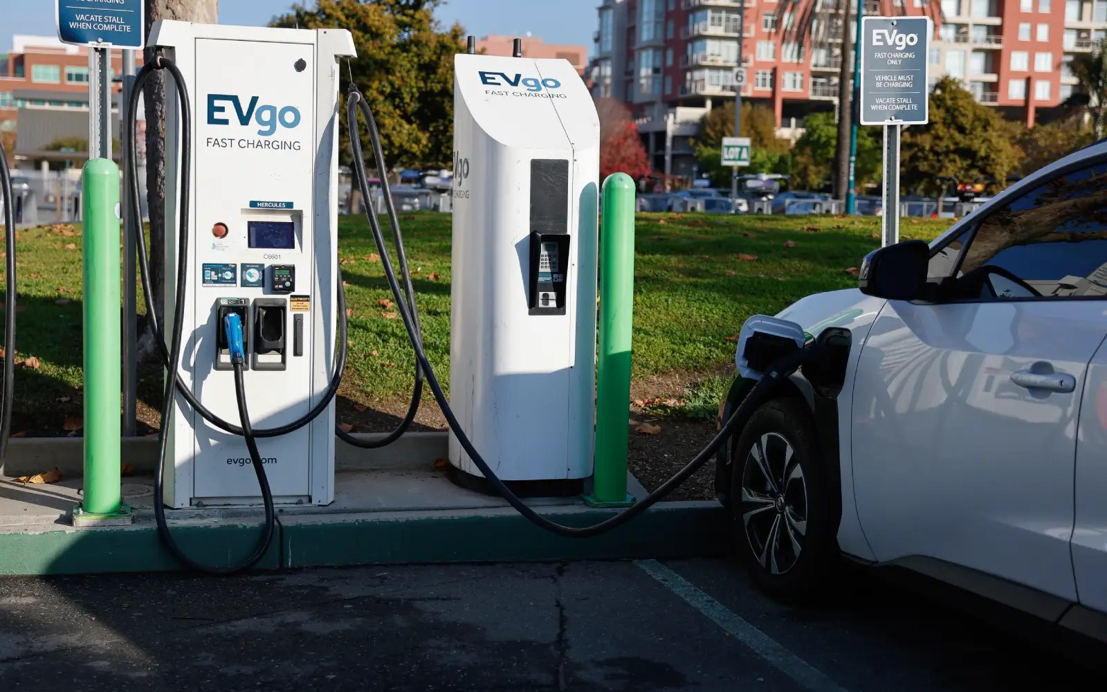 New Zealand’s EV sales soar during petrol price pinch