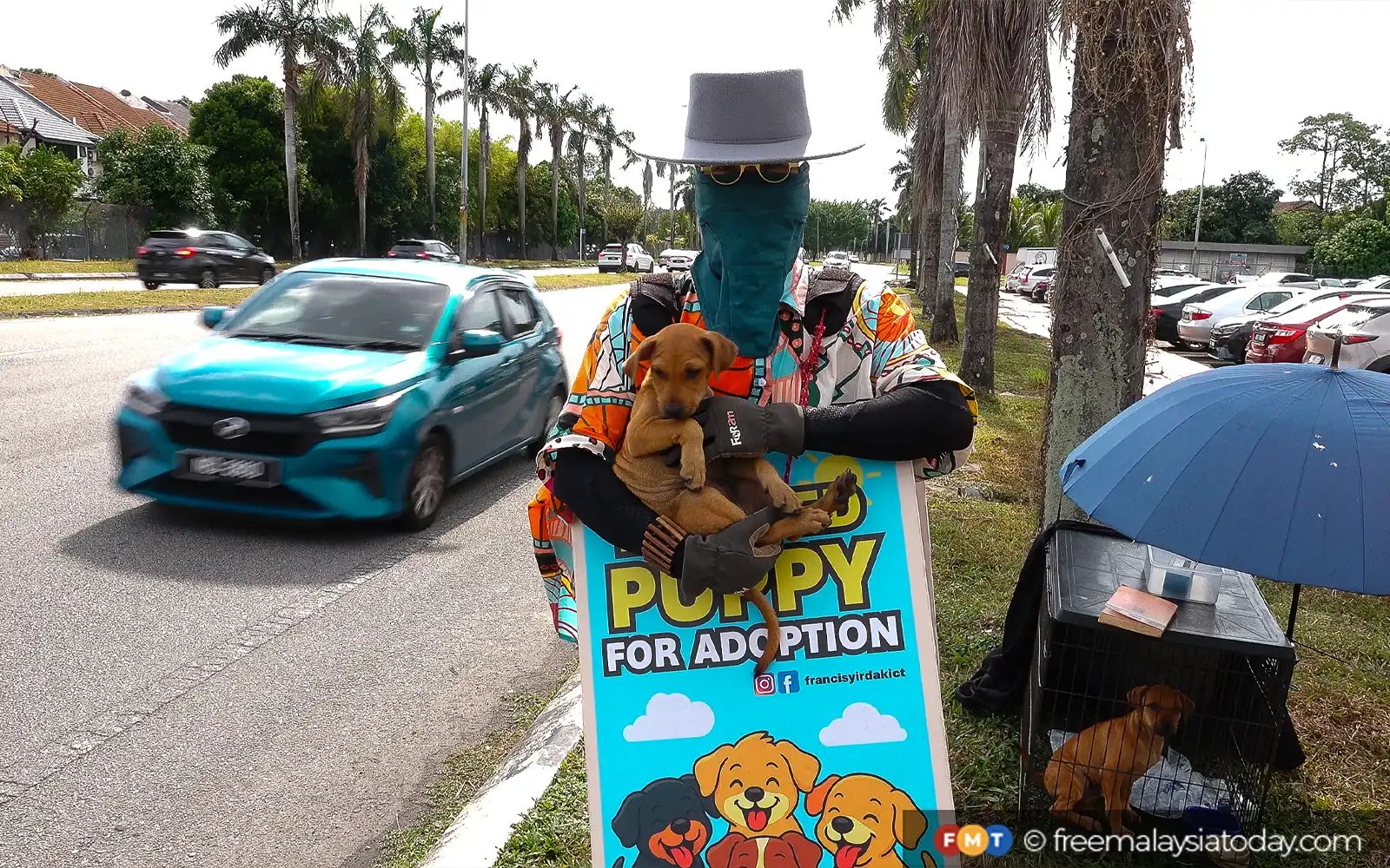 12 tahun ‘korban’ cuti demi haiwan jalanan