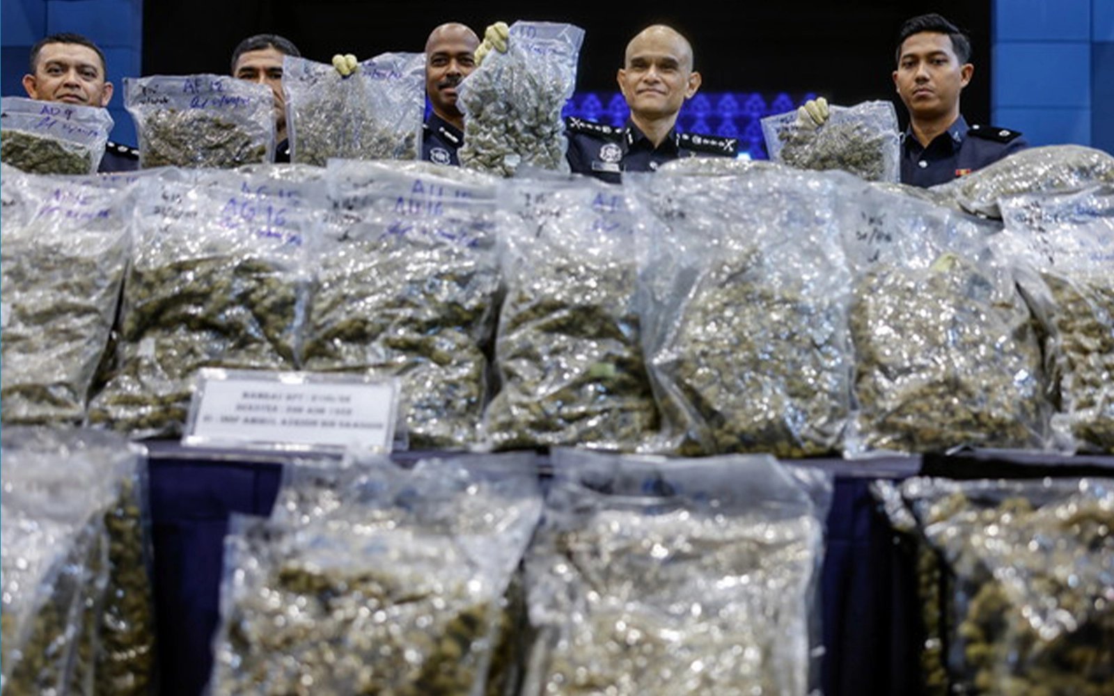 2 wanita ditahan, bunga ganja RM14.7 juta dirampas