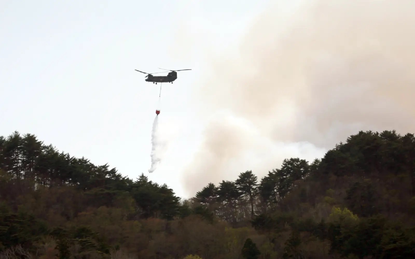 Japan deploys 1,400 firefighters to battle raging wildfires in the north