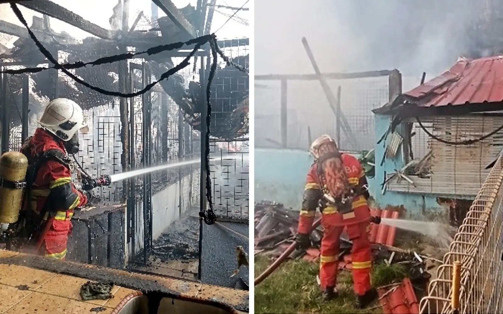 Blaze destroys Simpang Pulai animal shelter, 10 cats perish