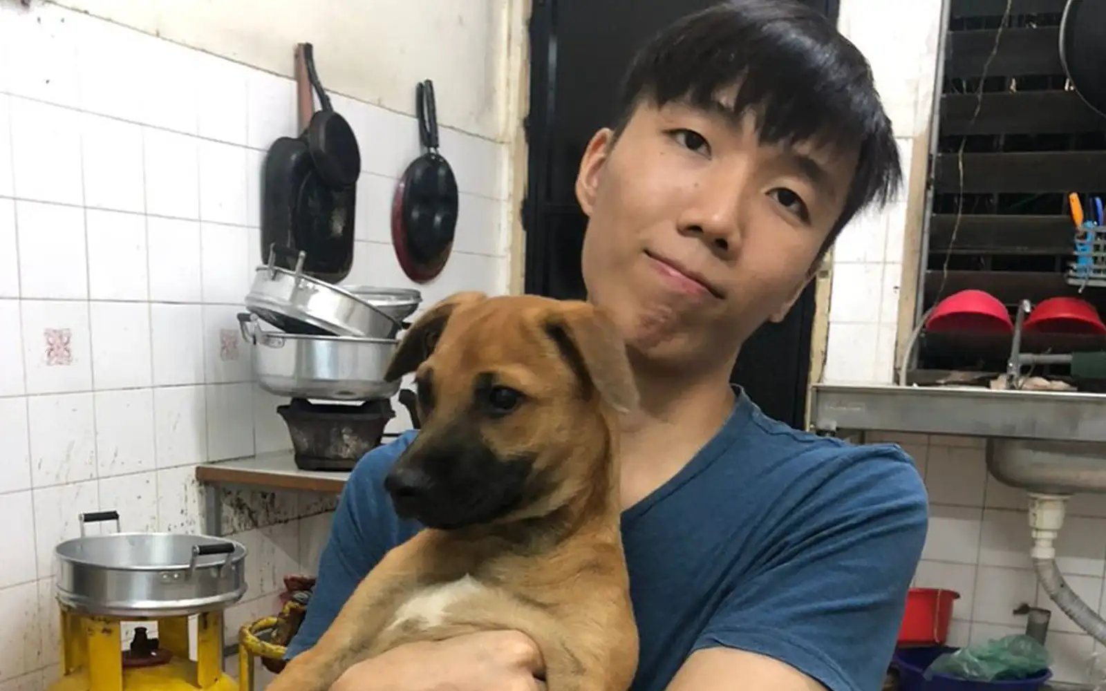 Feeding strays by night, building cages for them by day