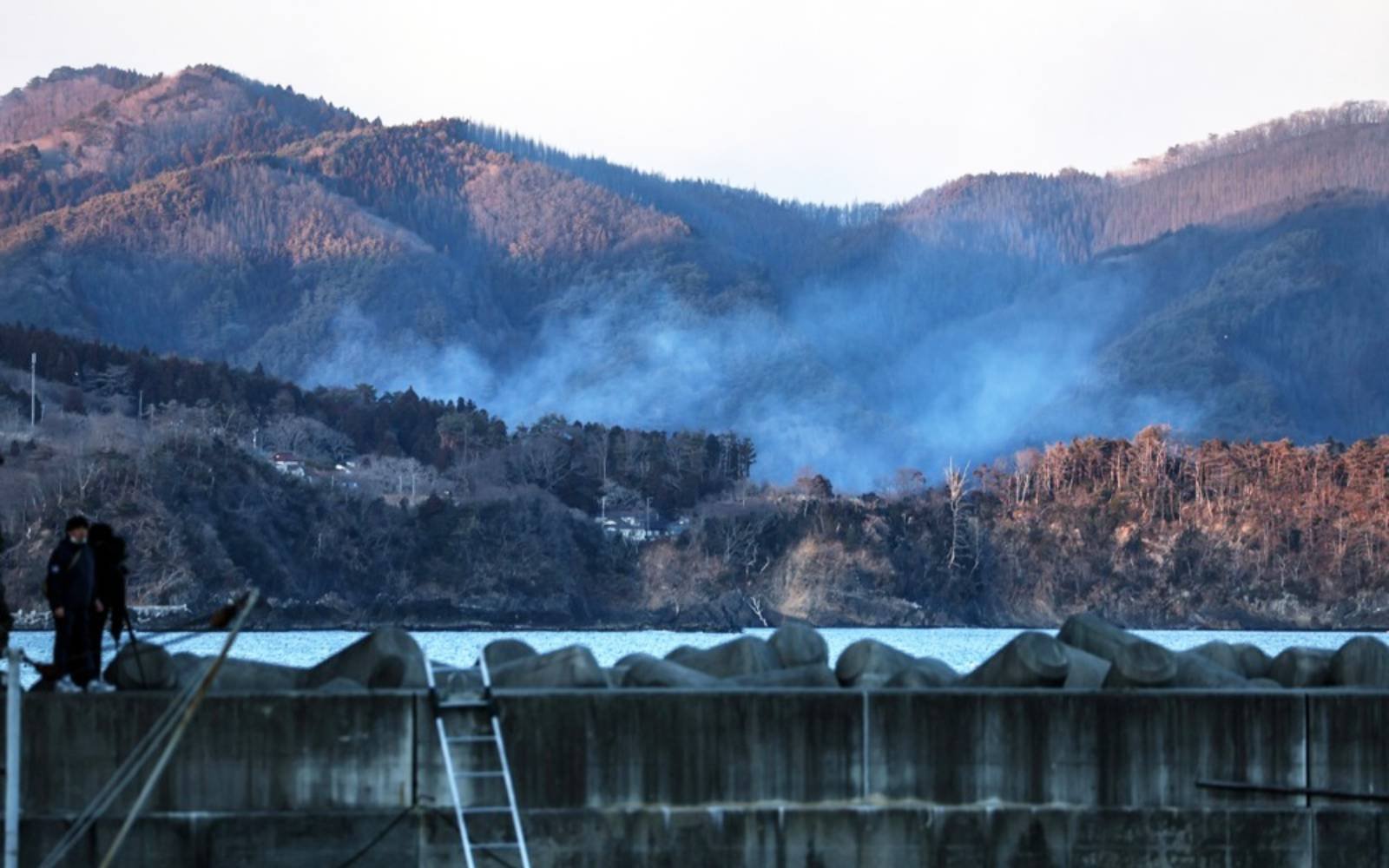 Japan orders evacuation as wildfires rage across northeast region