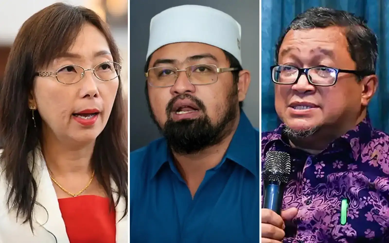 Teresa Kok dakwa PAS Selangor bercanggah berkait isu penternakan babi