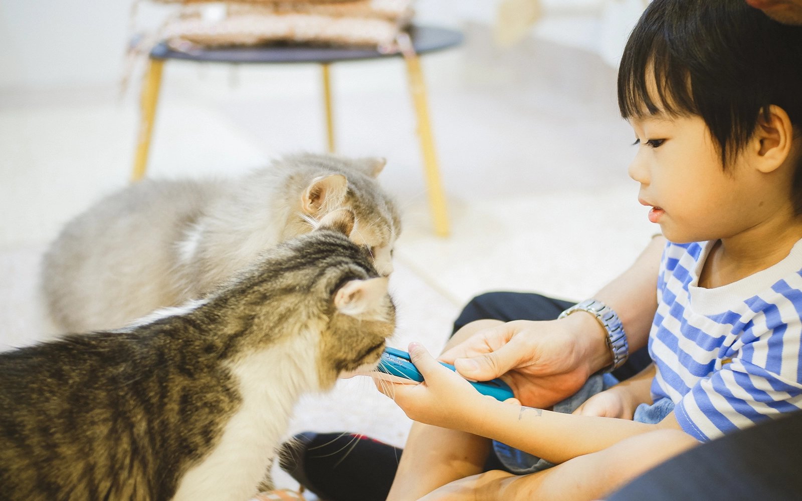 Beri didikan bukan hukum kanak-kanak aniaya haiwan, kata pakar