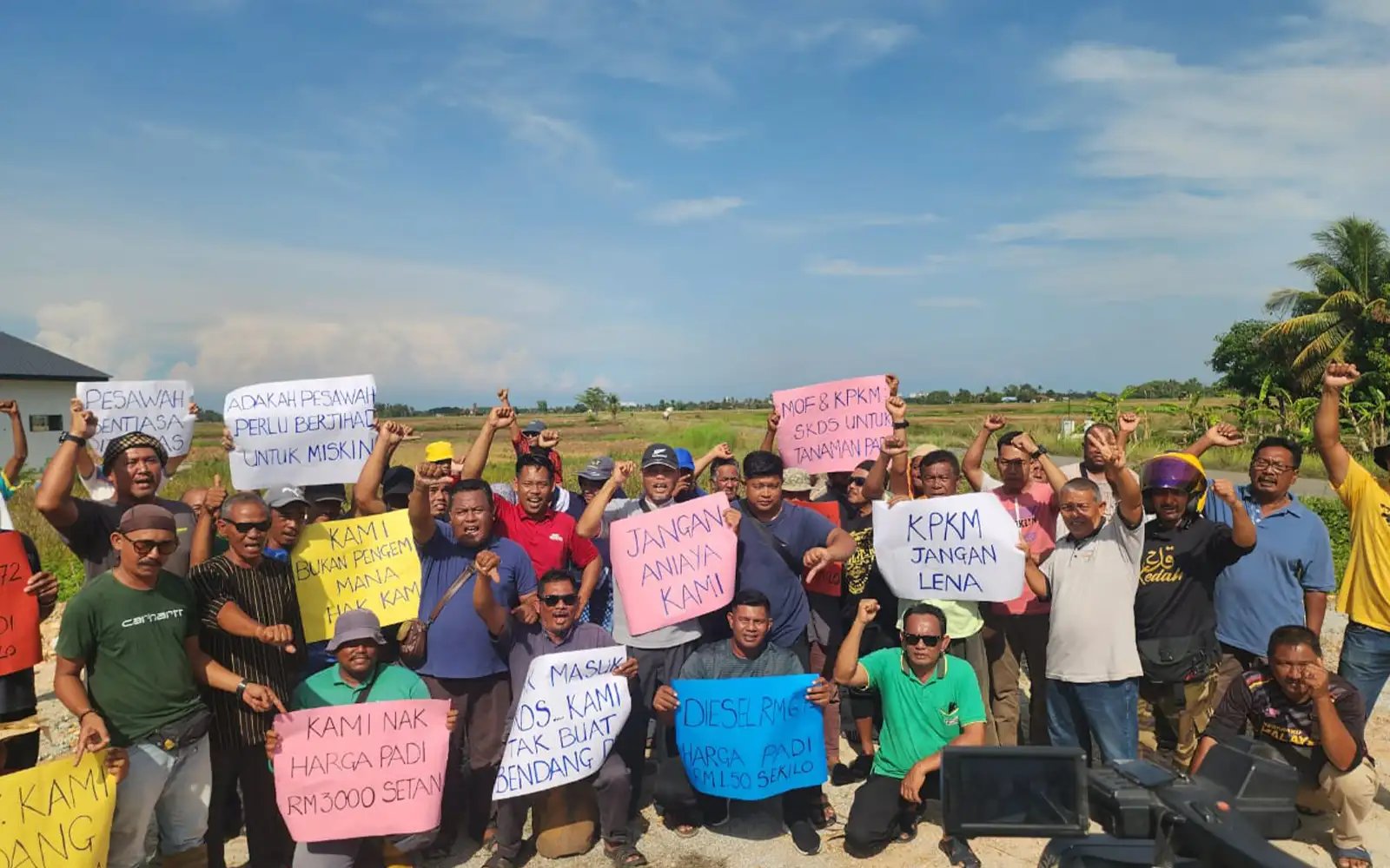 Pesawah ancam henti tanam padi musim ini jika tiada subsidi diesel