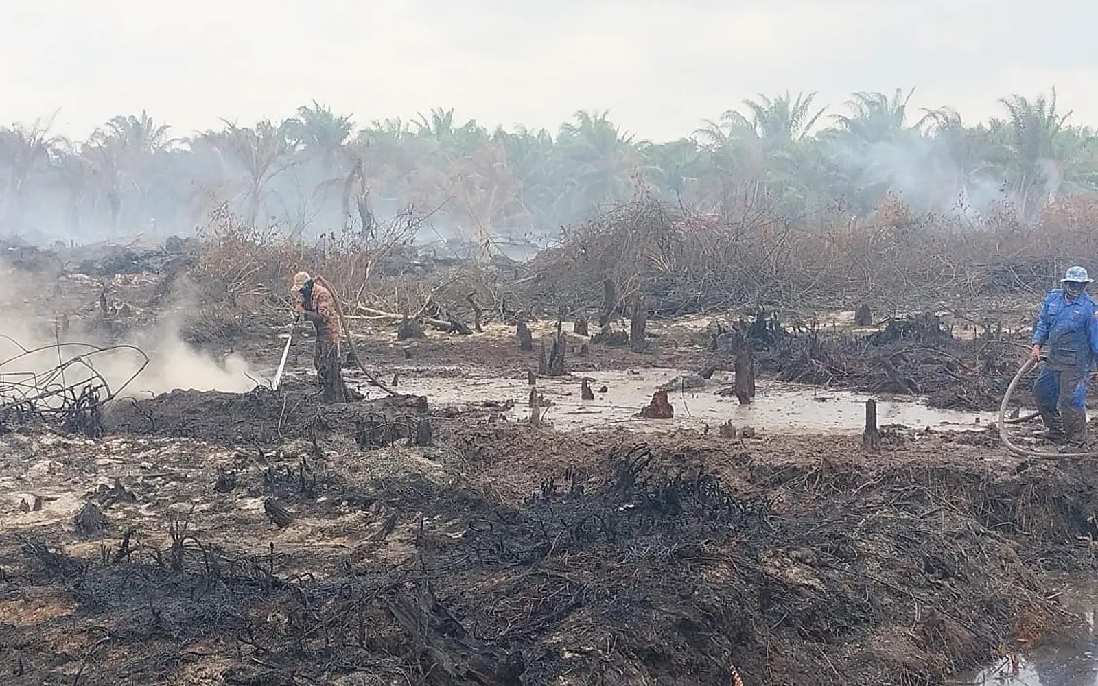 Fire at Rompin oil palm plantation still burning after 2 weeks