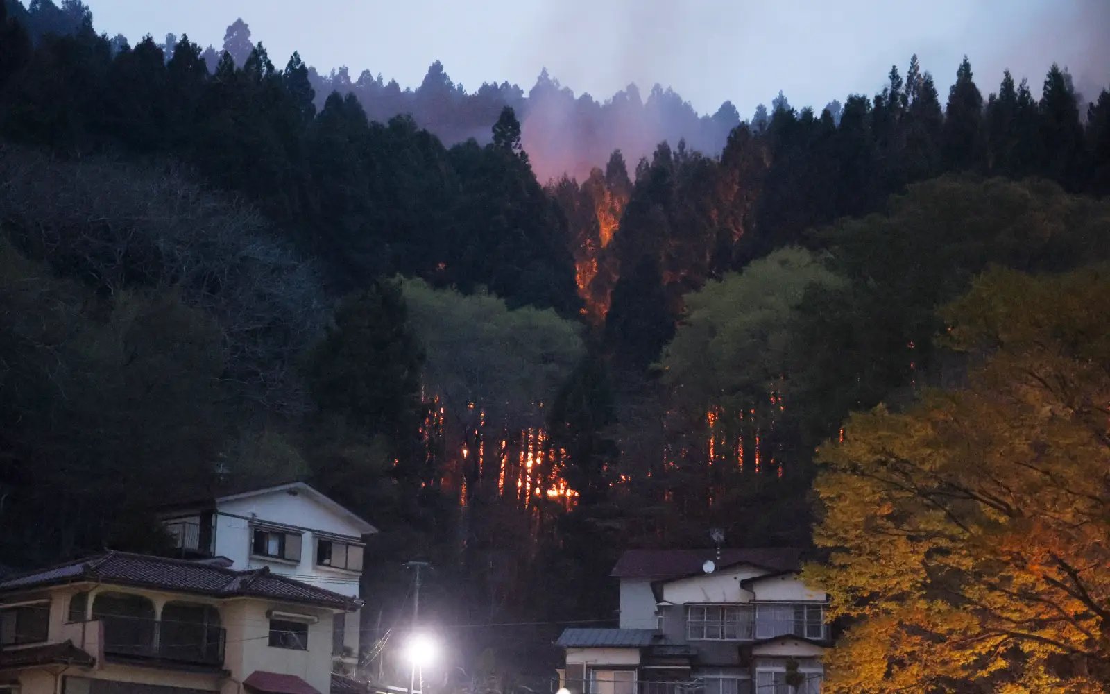Wildfires spread towards northern Japanese town