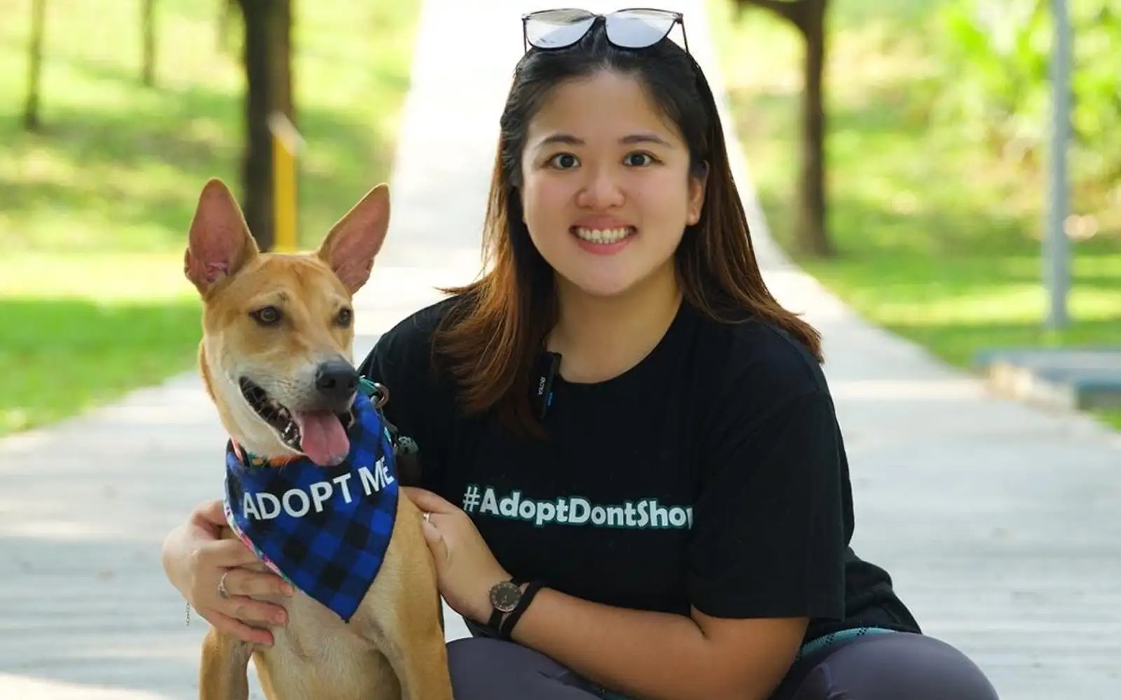 Pooches to pick their humans at weekend adoption drive