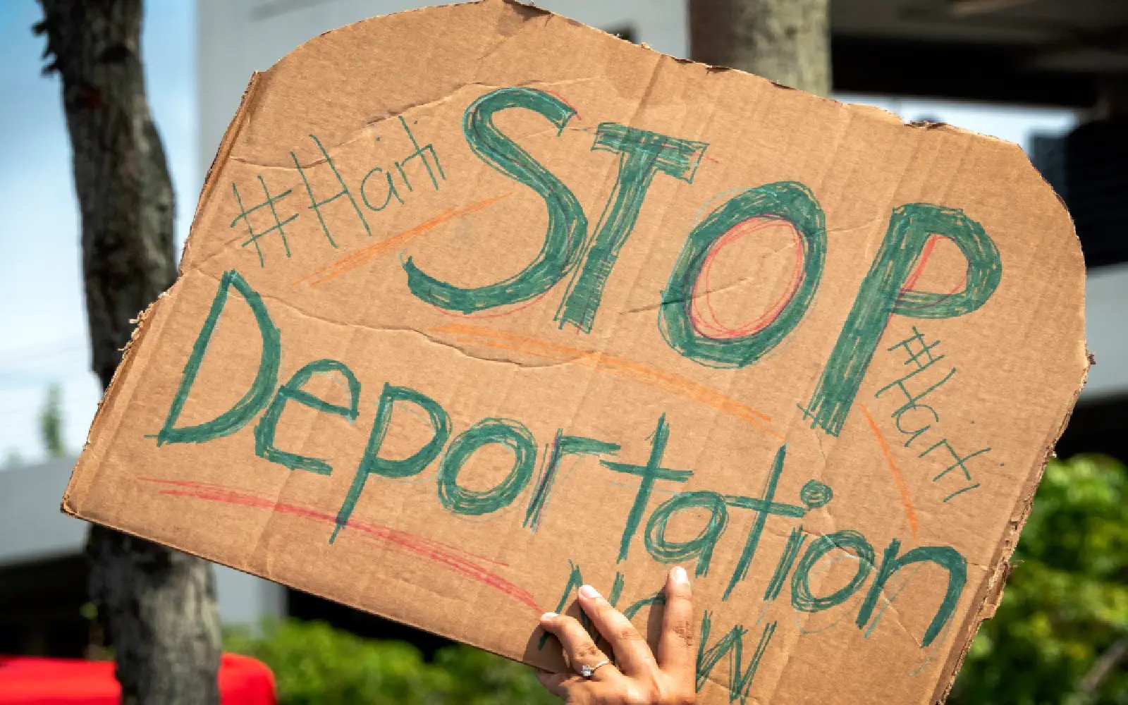 US judge rejects Trump administration’s halt on immigration applications