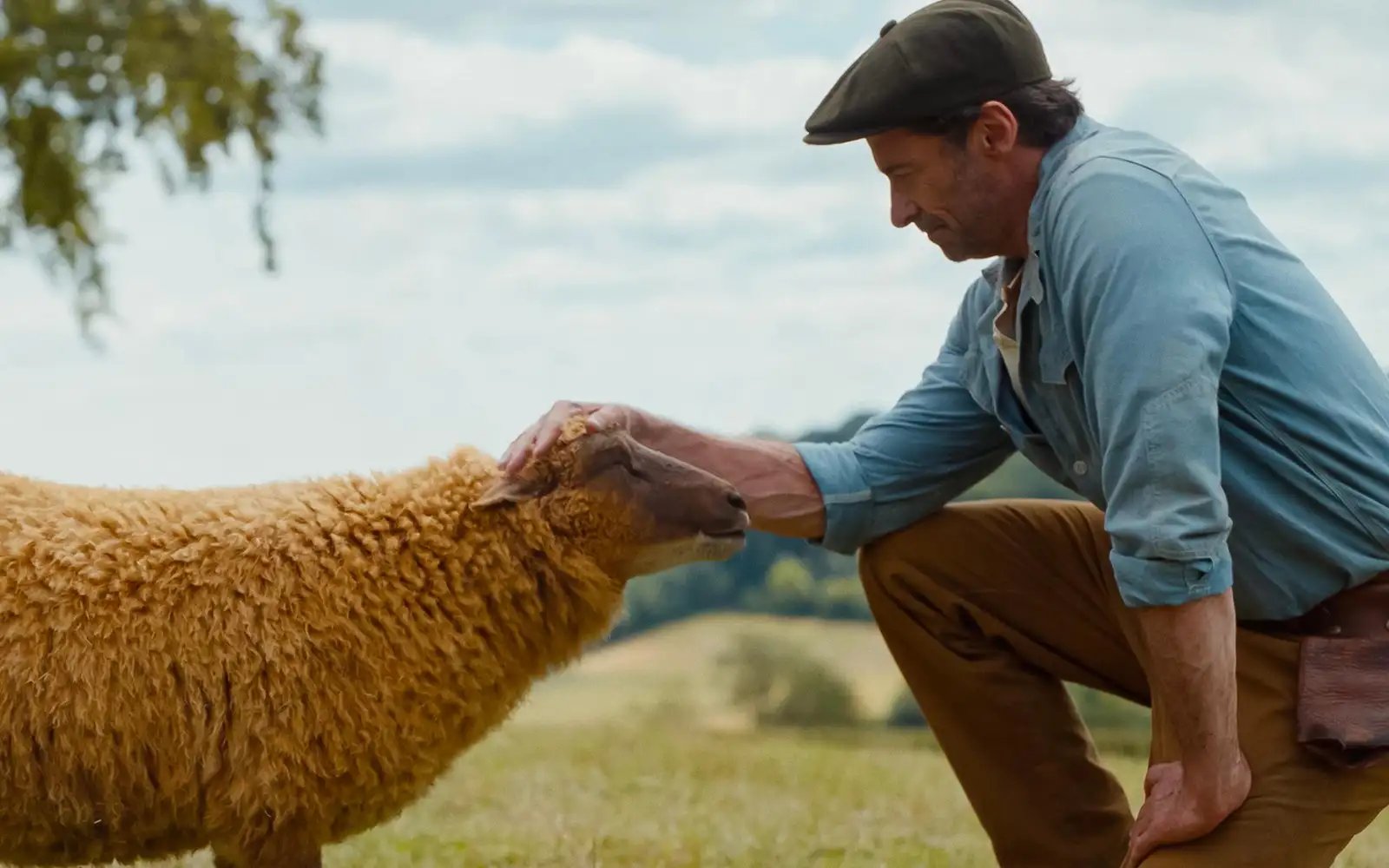 ‘The Sheep Detectives’: a baa-rilliant mix of humour, mystery and heart