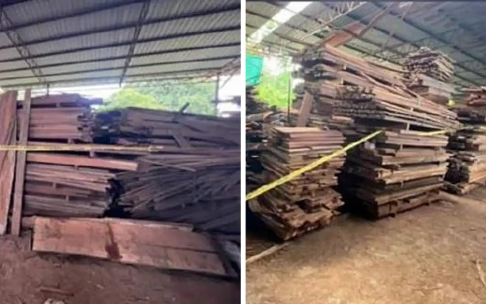 6 ditahan, PGA rampas kayu balak, papan lebih RM1.1 juta