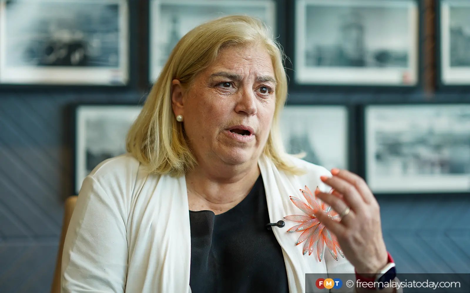 ‘Might makes right’ world driving energy instability, says EU envoy