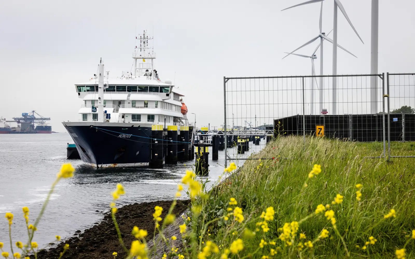 Dutch health officials clear hantavirus ship to sail again