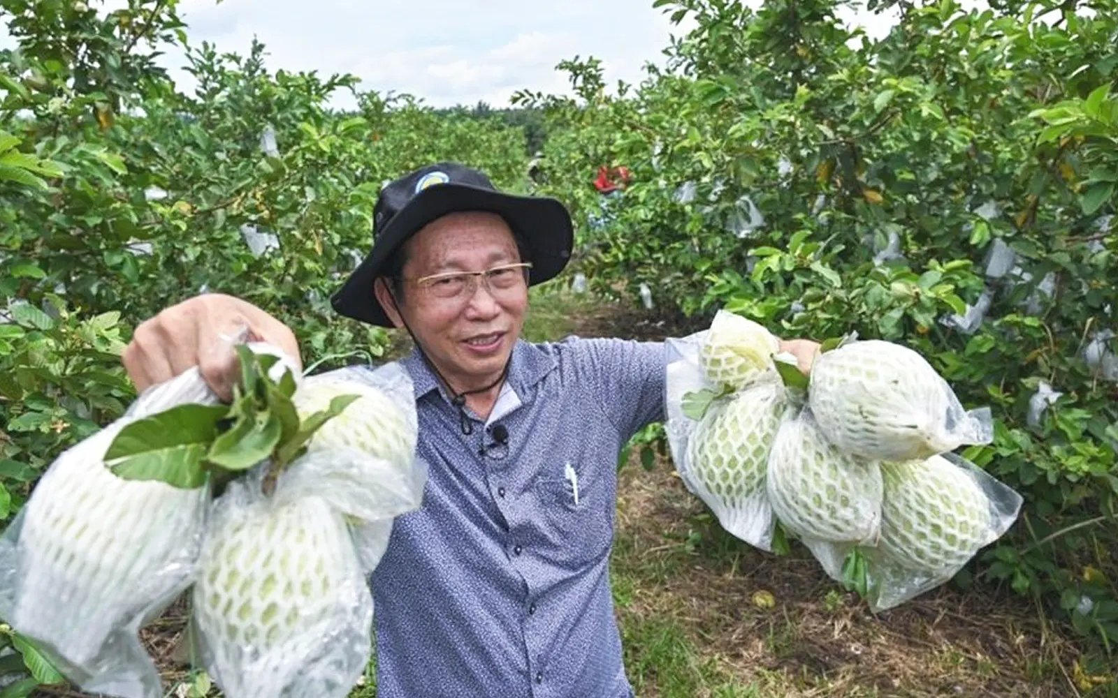 After years of setbacks, Lee’s perseverance bears fruit