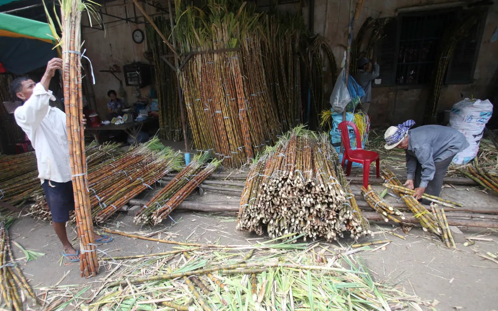 India bars sugar exports until September