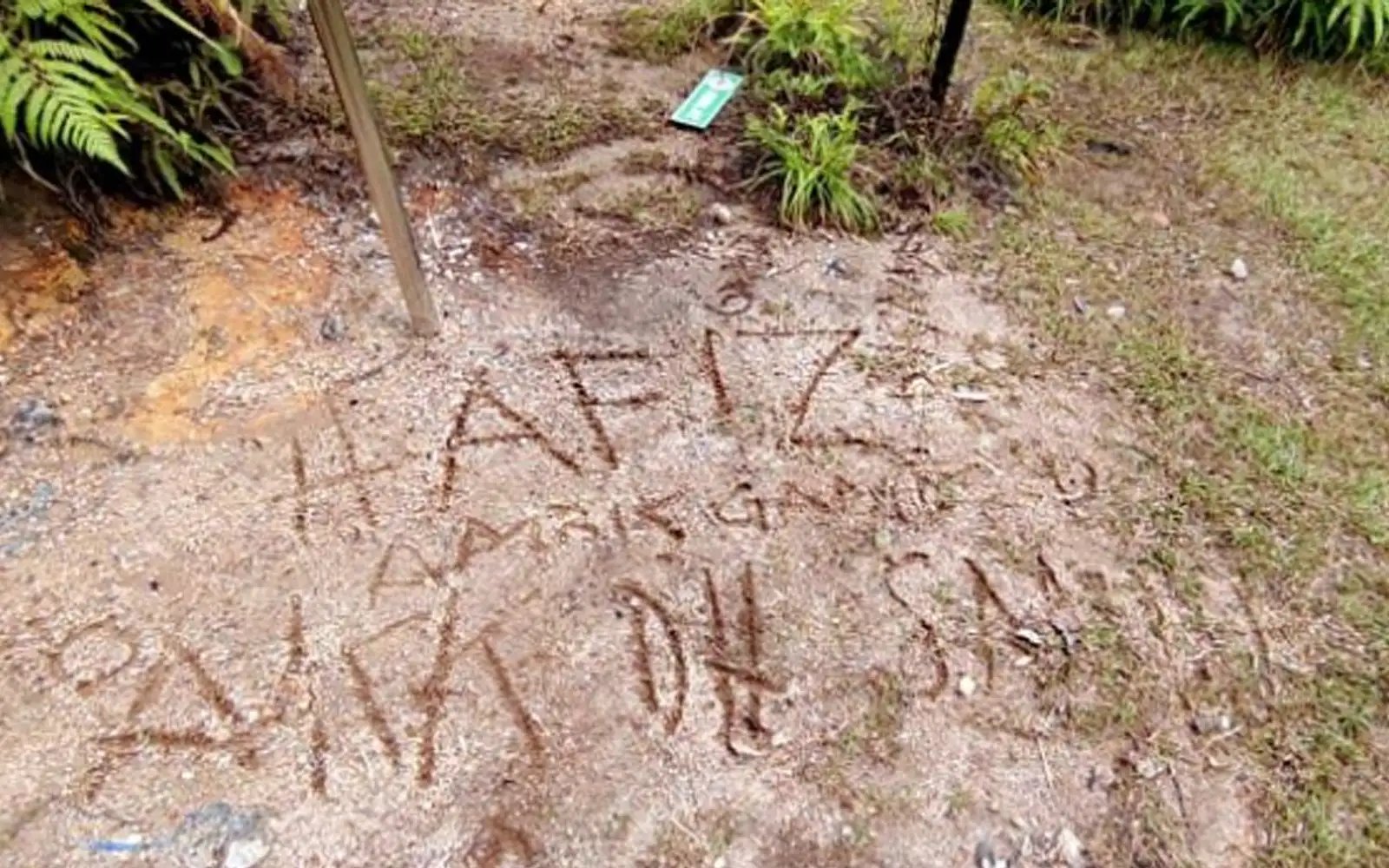 Missing hiker left word she reached the summit, says guide