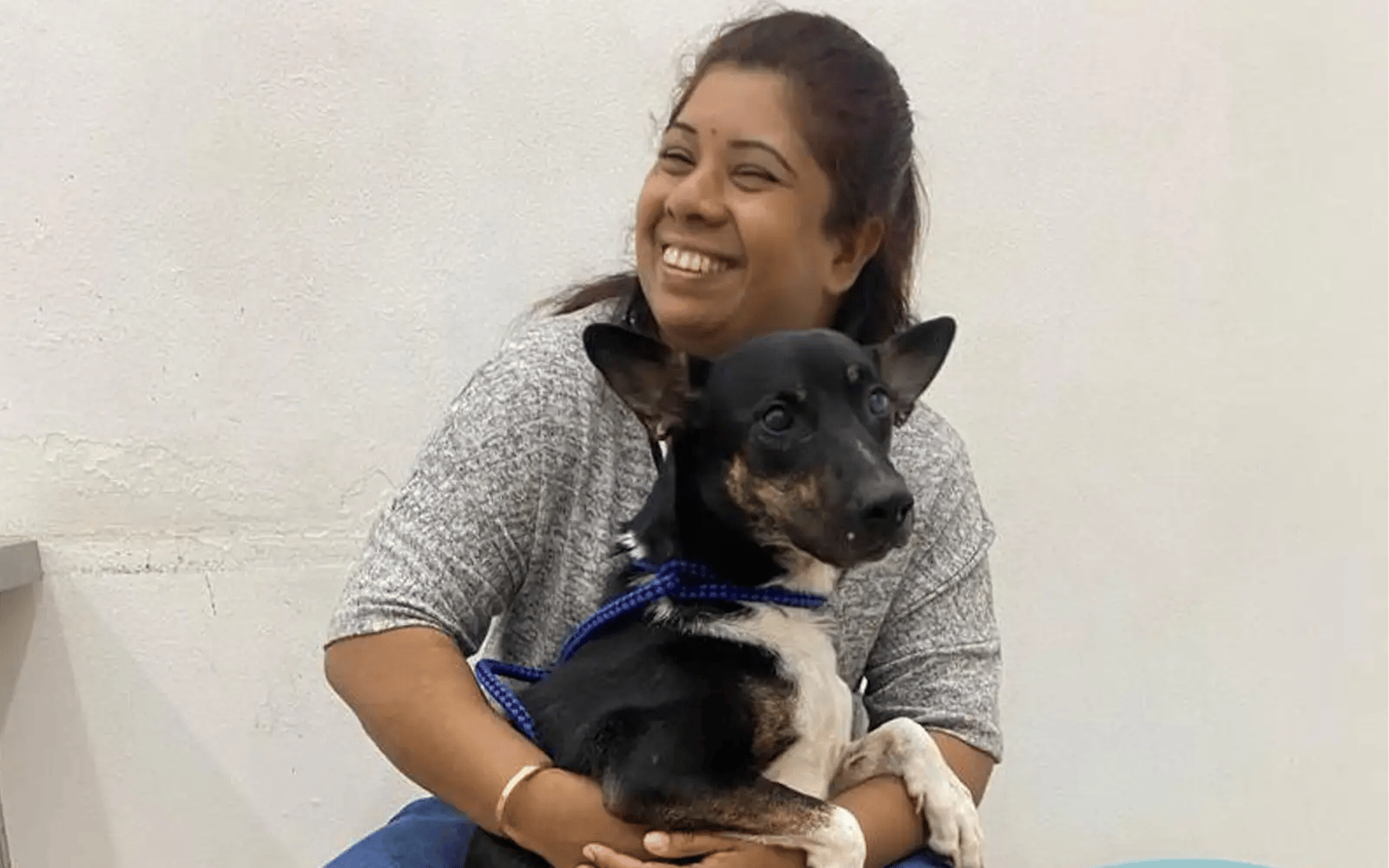 Miracle dog Champ: cancer survivor with a lucky streak
