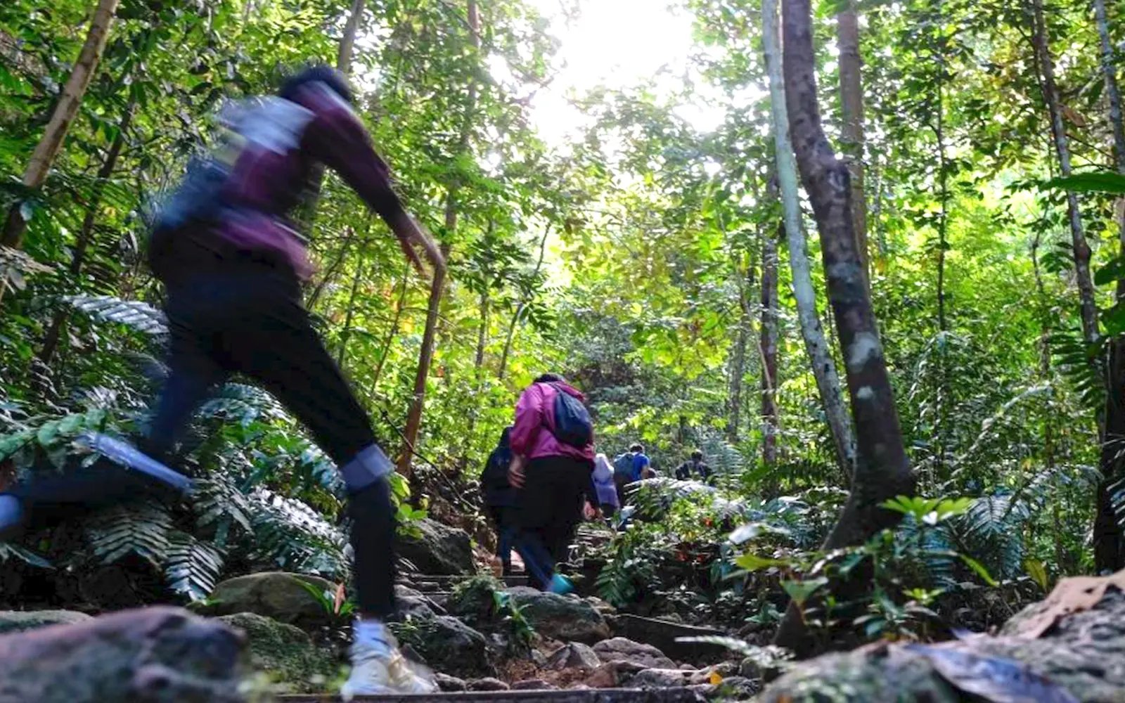 Are social media trends encouraging hikers to take more risks?