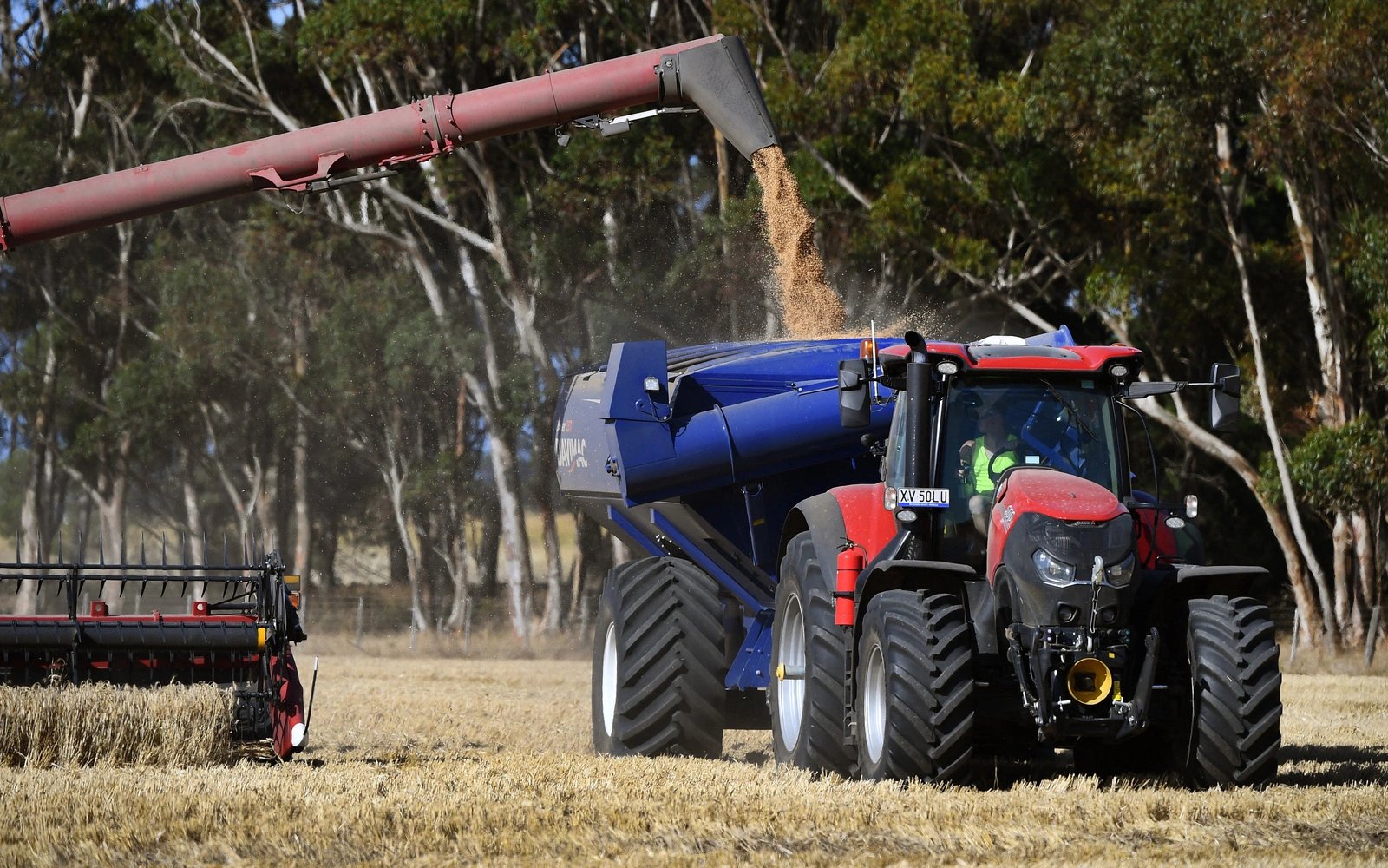 Australia’s farmers, hit by Iran war costs, dry weather
