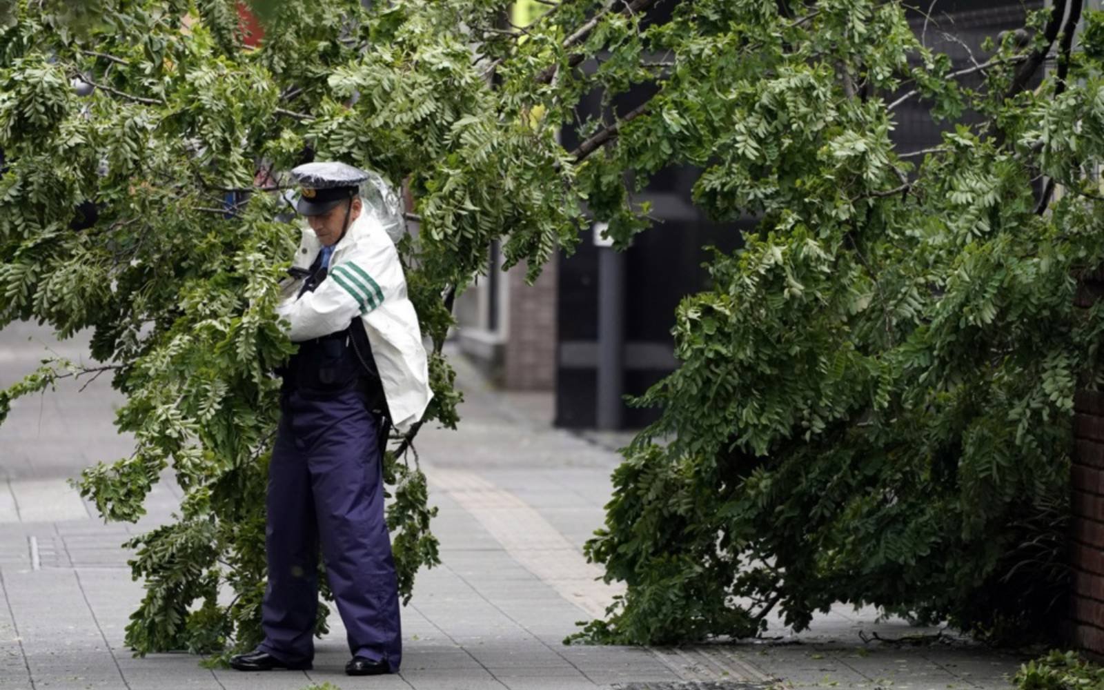 Tropical storm Jangmi injures 9 in Japan, thousands without power