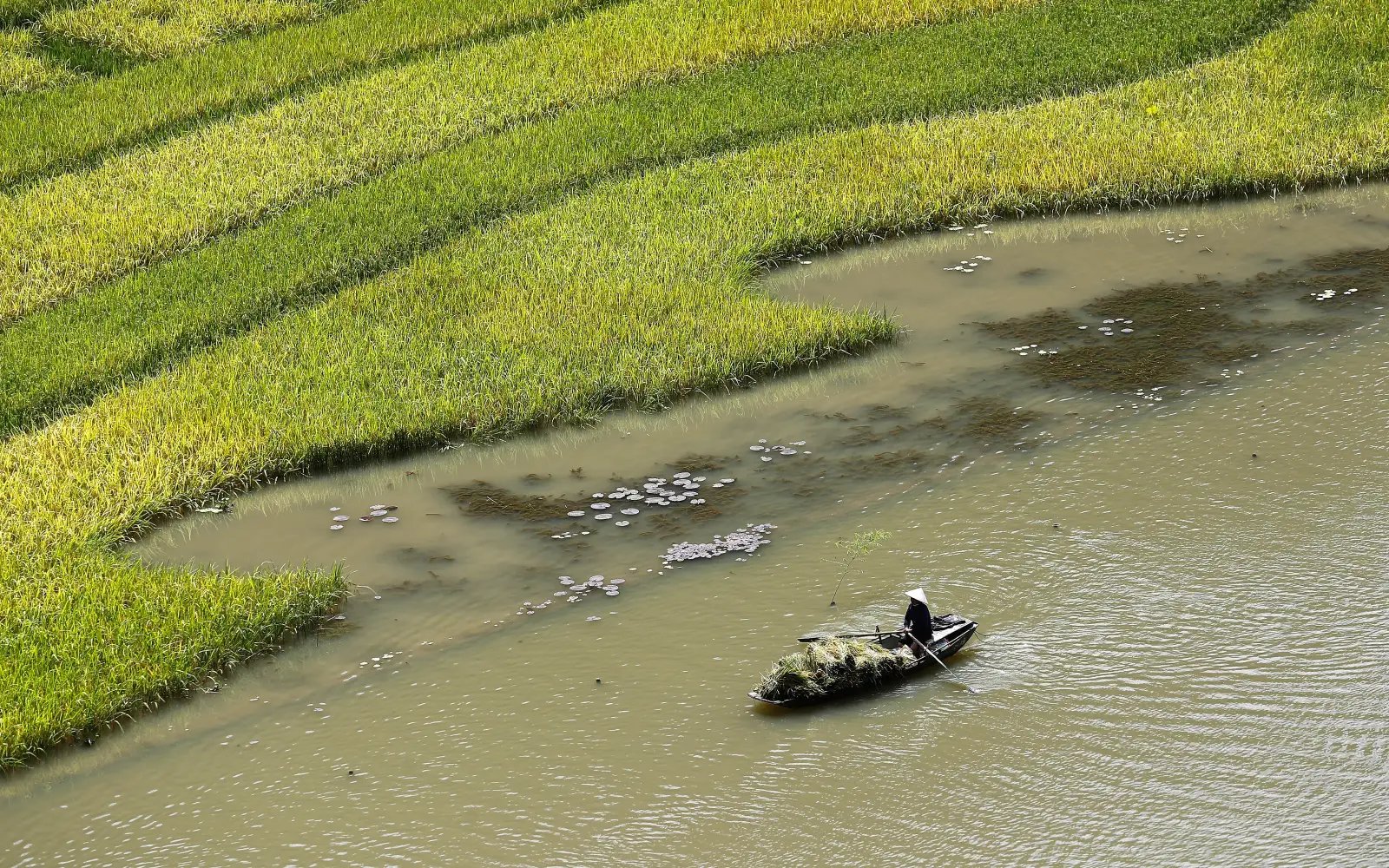 Vietnam’s agriculture exports up 9% in Jan-May, surplus hits US$8.4bil