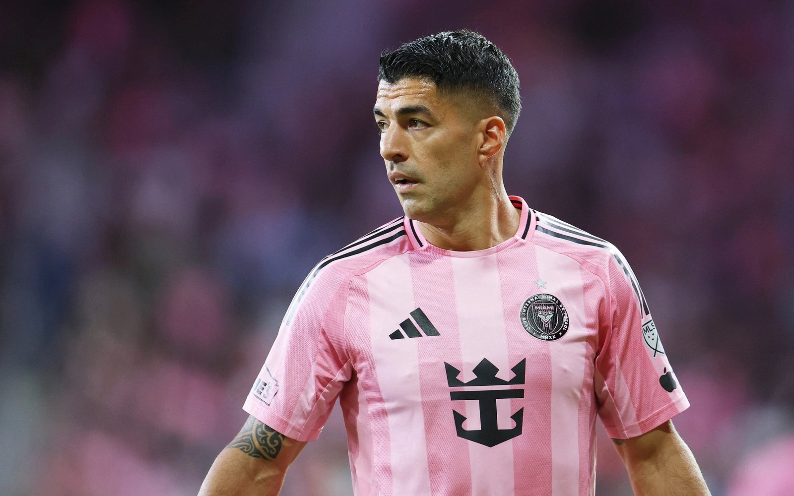 Bielsa says Suarez ‘owes no apology’ after World Cup omission