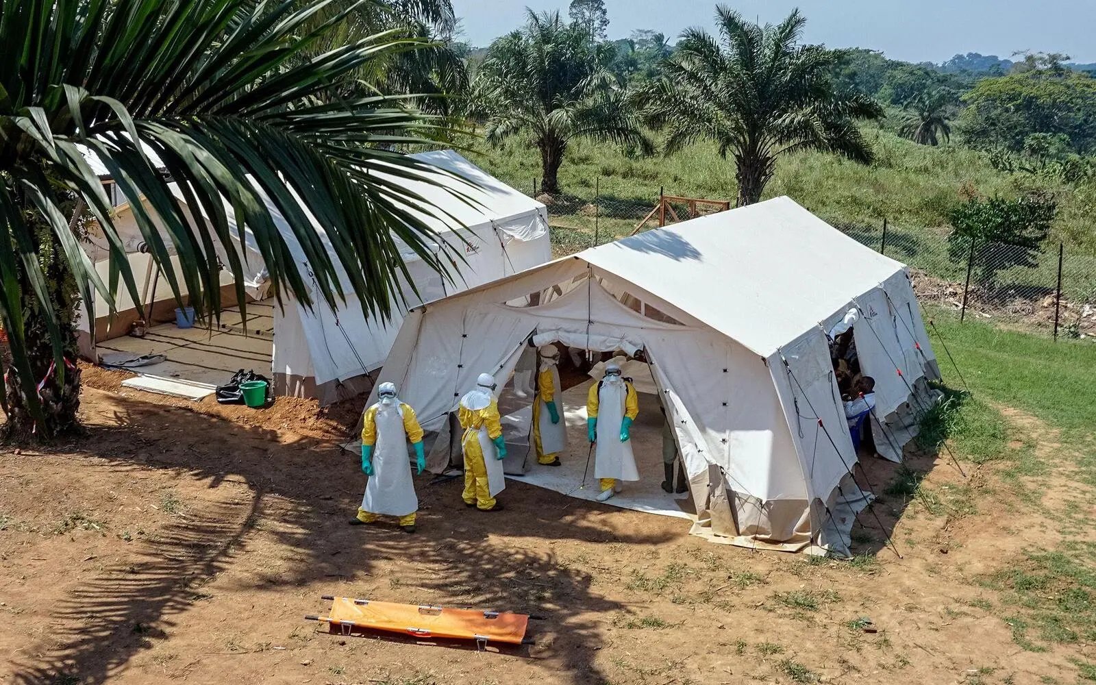 Africa CDC says over 1,100 suspected Ebola cases in DR Congo, Uganda