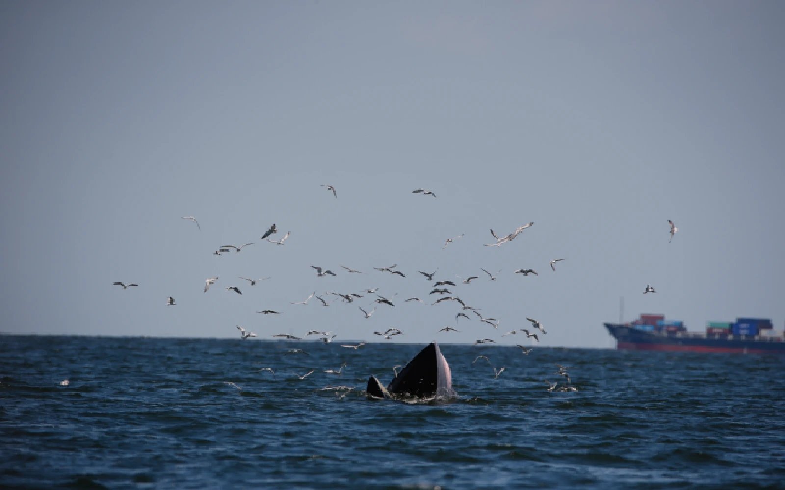Cambodia taps obscure UN mechanism to settle maritime dispute with Thailand